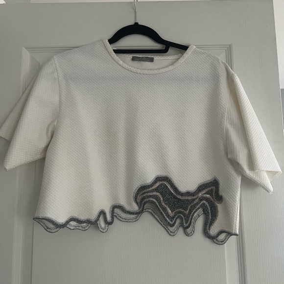Zara Crop Top - Picture 1 of 2